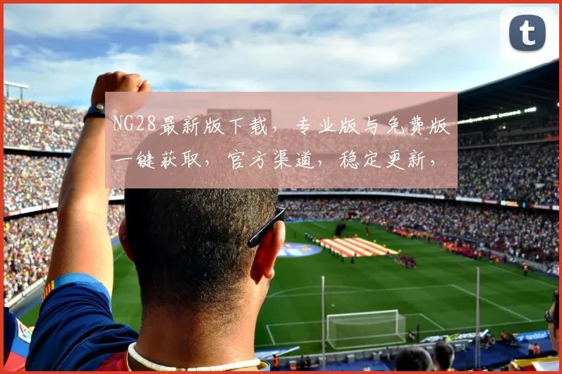 NG28最新版下载，专业版与免费版一键获取，官方渠道，稳定更新，必备软件，速来下载