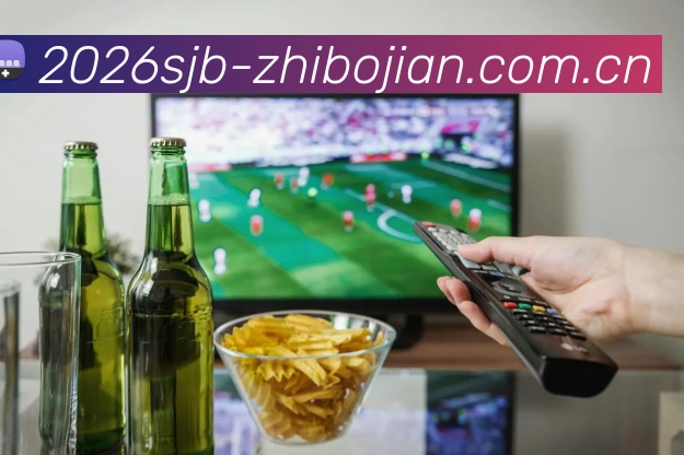 未来规划